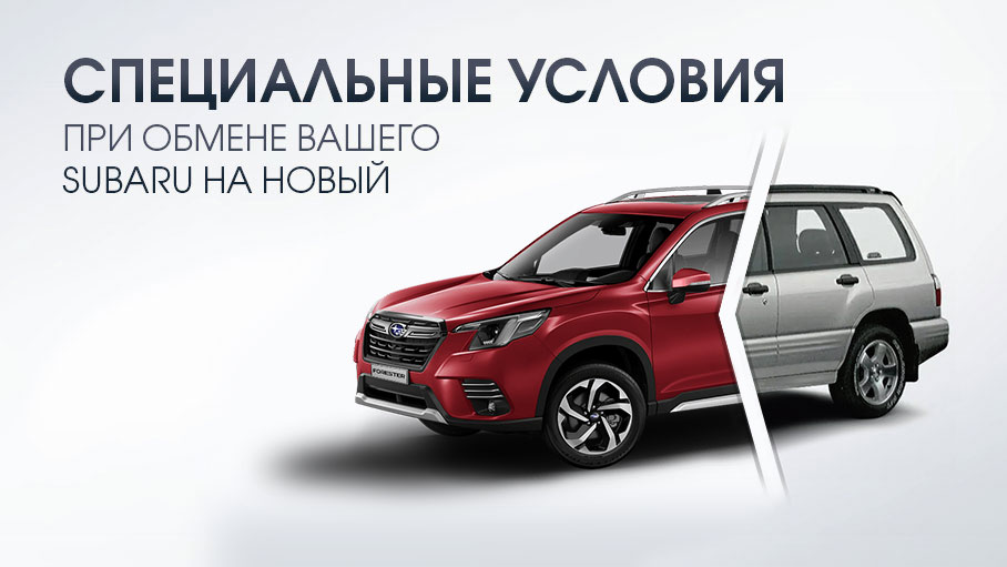 Программа лояльности 